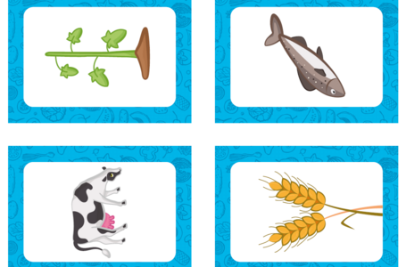 Joc de cartes QUIN ÉS L'ORIGEN D'AQUESTS ALIMENTS?